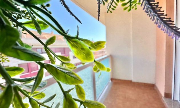 Apartamento - Venta - San Pedro del Pinatar - Lo Pagán