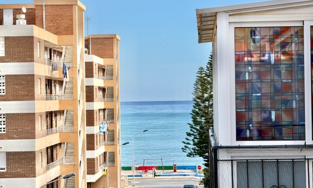 Apartamento - Venta - Torrevieja - Torrevieja 