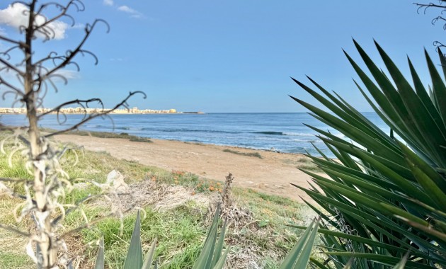 Apartamento - Venta - Torrevieja - Torrevieja 