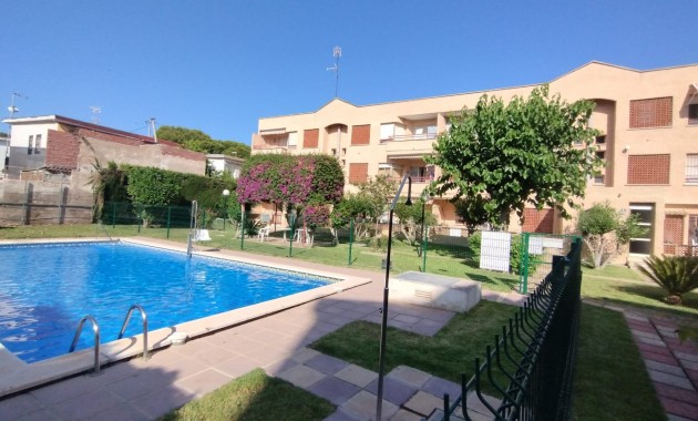 Piso - Venta - San Pedro del Pinatar - Lo Pagán