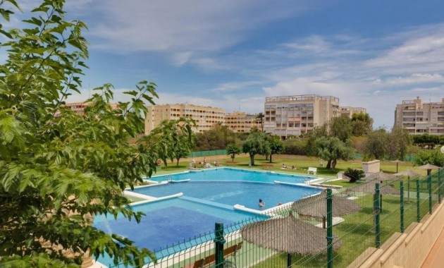 Piso - Venta - Torrevieja - Torrevieja 