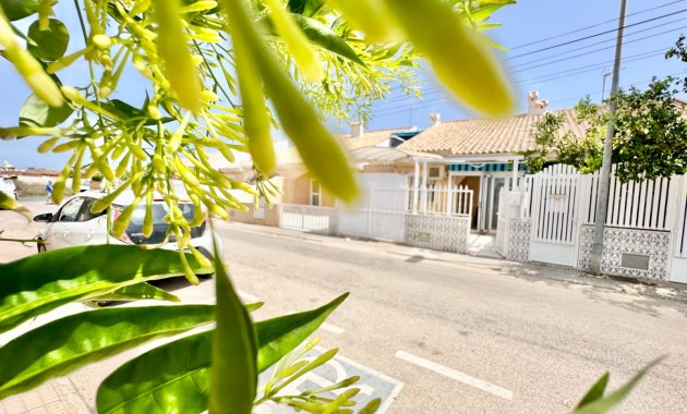 Planta baja - Venta - San Pedro del Pinatar - Lo Pagán