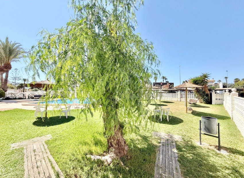 Venta - Apartamento -
Orihuela Costa - La Zenia