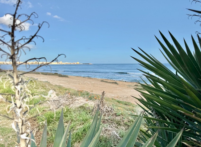 Venta - Apartamento -
Torrevieja - Torrevieja 