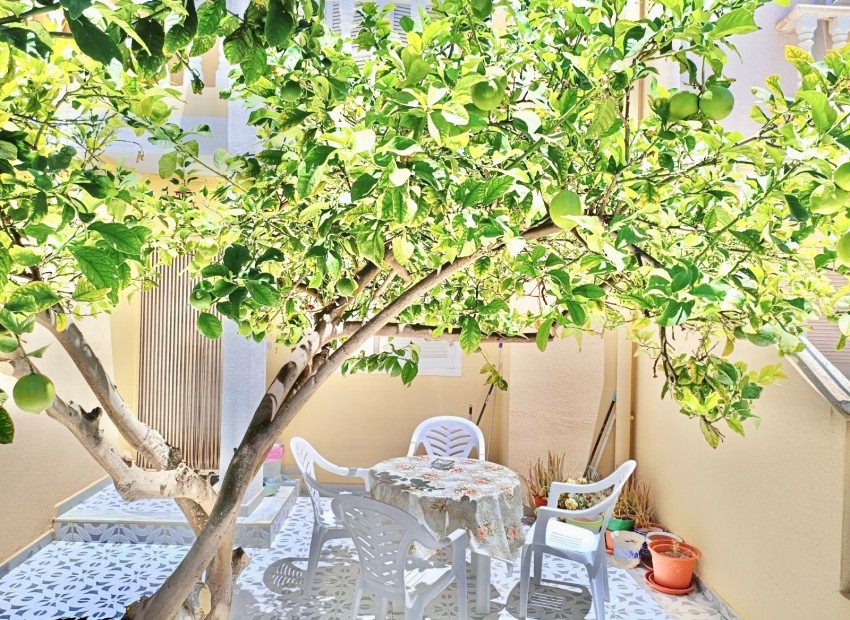 Venta - Dúplex -
San Pedro del Pinatar - Lo Pagán