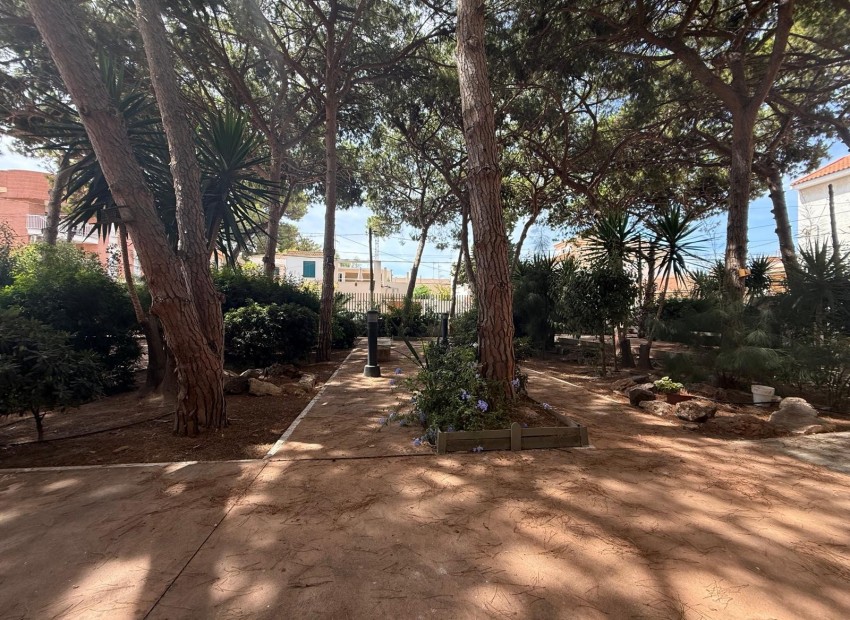 Venta - Piso -
San Pedro del Pinatar - Lo Pagán