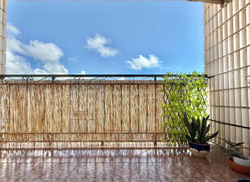 Venta - Piso -
San Pedro del Pinatar - San Pedro del Pinatar Centro
