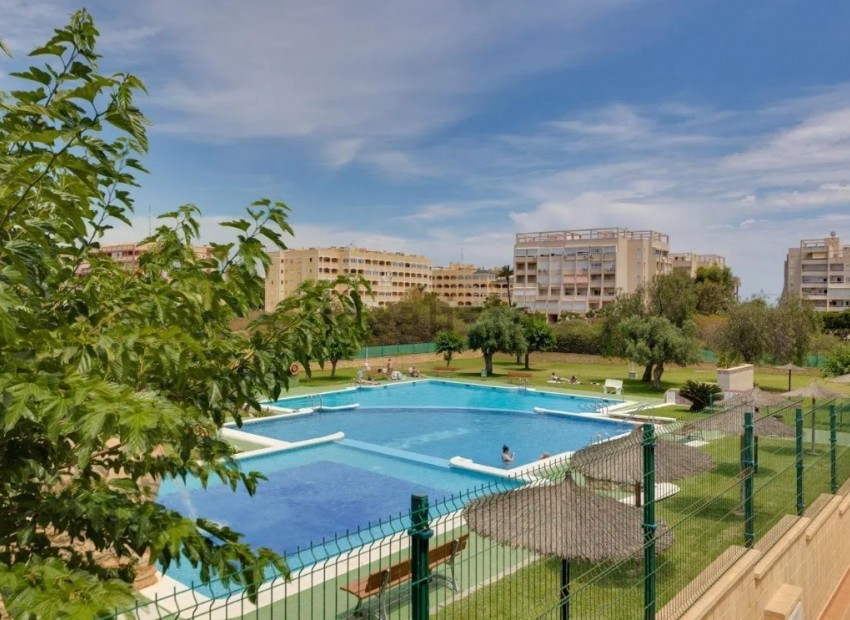 Venta - Piso -
Torrevieja - Torrevieja 
