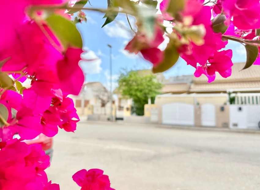 Venta - Planta baja -
San Pedro del Pinatar - Las Salinas