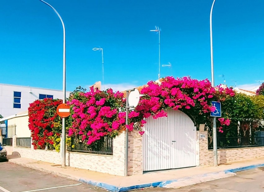 Venta - Planta baja -
San Pedro del Pinatar - Lo Pagán