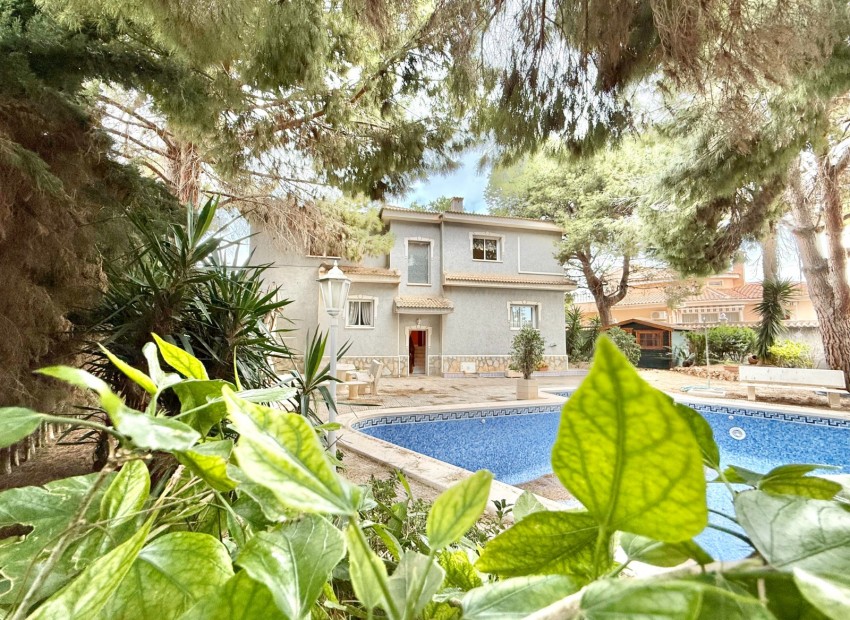 Venta - Villa -
Torrevieja - Torrevieja 