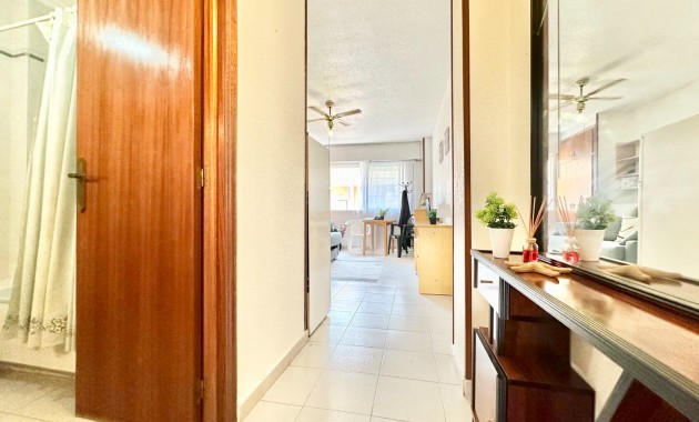 Venta - Estudio -
San Pedro del Pinatar - Lo Pagán