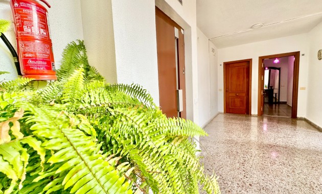 Venta - Apartamento -
San Pedro del Pinatar - Lo Pagán