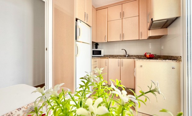 Venta - Planta baja -
Pilar de la Horadada - Pilar de la Horadada 