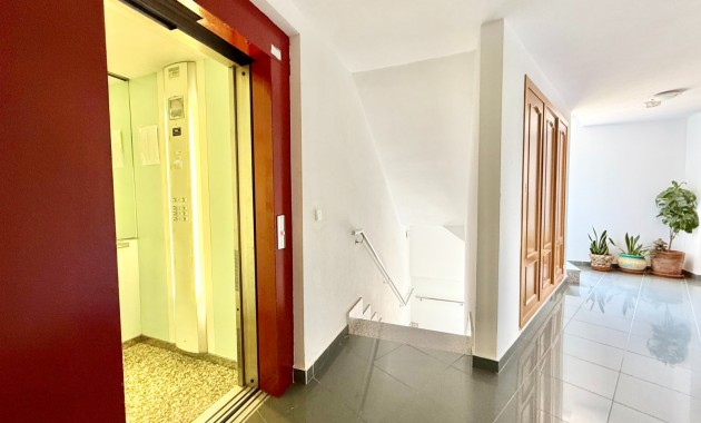 Venta - Piso -
Pilar de la Horadada - Pilar de la Horadada 