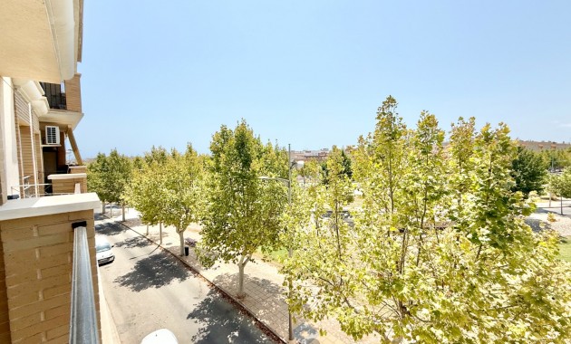 Venta - Piso -
Pilar de la Horadada - Pilar de la Horadada 