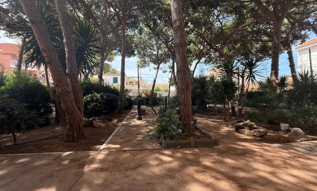 Venta - Piso -
San Pedro del Pinatar - Lo Pagán