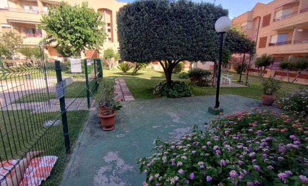 Venta - Piso -
San Pedro del Pinatar - Lo Pagán