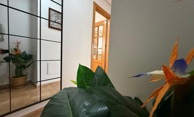 Venta - Apartamento -
San Pedro del Pinatar - Lo Pagán