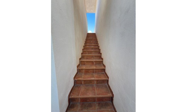 Venta - Dúplex -
San Pedro del Pinatar - Lo Pagán