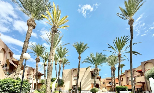 Venta - Piso -
San Pedro del Pinatar - Lo Pagán