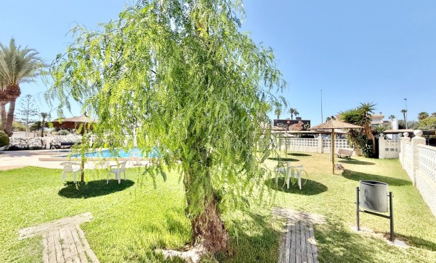 Venta - Apartamento -
Orihuela Costa - La Zenia