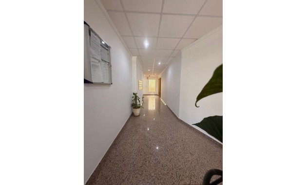Venta - Apartamento -
San Pedro del Pinatar - San Pedro del Pinatar Centro