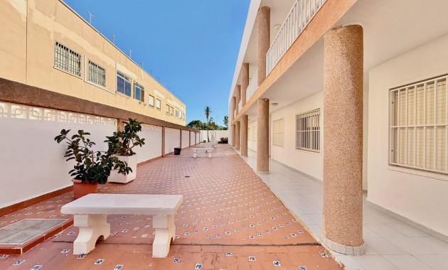 Venta - Estudio -
San Pedro del Pinatar - Lo Pagán