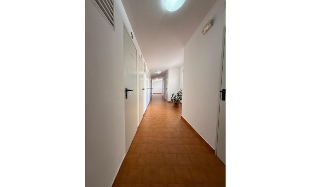 Venta - Apartamento -
San Pedro del Pinatar - San Pedro del Pinatar Centro