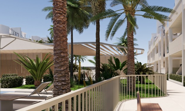 Venta - Apartamento -
Torre Pacheco - San Cayetano