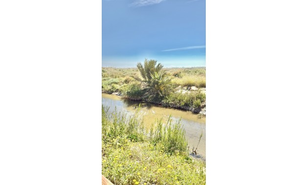 Venta - Bungalow -
San Pedro del Pinatar - El Mojón