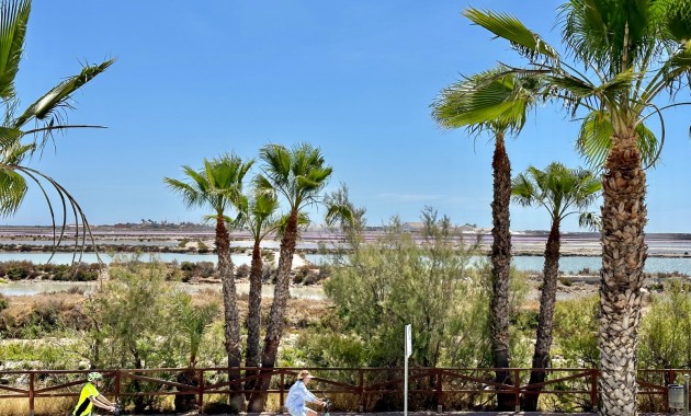 Venta - Dúplex -
San Pedro del Pinatar - Las Salinas