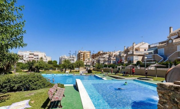 Venta - Piso -
Torrevieja - Torrevieja 