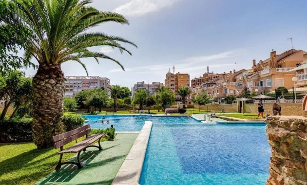 Venta - Piso -
Torrevieja - Torrevieja 