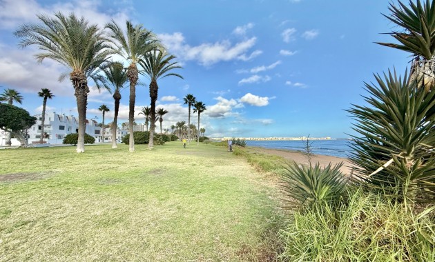 Venta - Apartamento -
Torrevieja - Torrevieja 