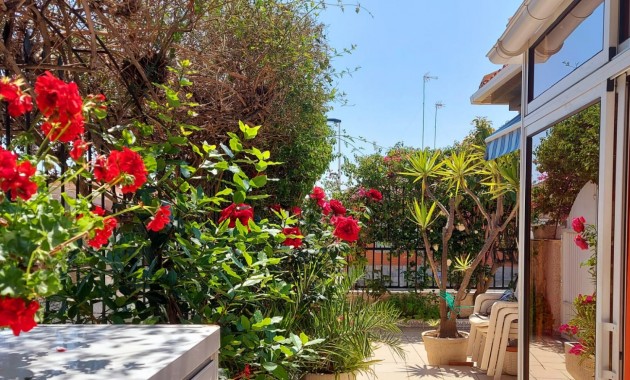 Venta - Planta baja -
San Pedro del Pinatar - Lo Pagán