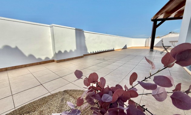 Venta - Piso -
San Pedro del Pinatar - San Pedro del Pinatar Centro
