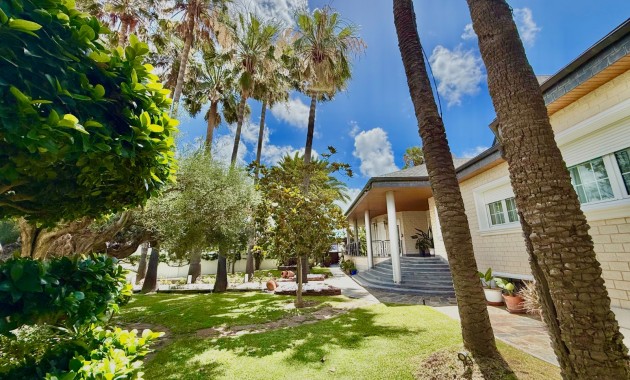 Venta - Chalet -
San Pedro del Pinatar - San Pedro del Pinatar Centro