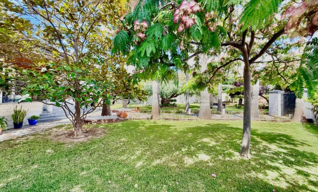 Venta - Chalet -
San Pedro del Pinatar - San Pedro del Pinatar Centro