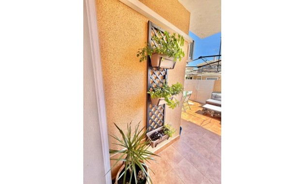 Venta - Dúplex -
San Javier - San Javier Centro
