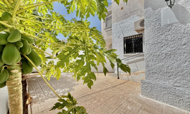 Venta - Planta baja -
Los Alcázares - Los Narejos