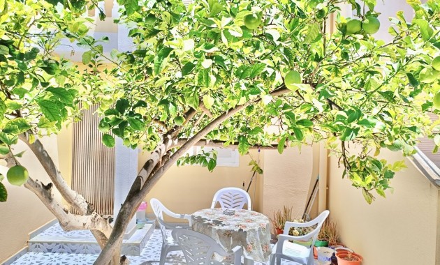 Venta - Dúplex -
San Pedro del Pinatar - Lo Pagán